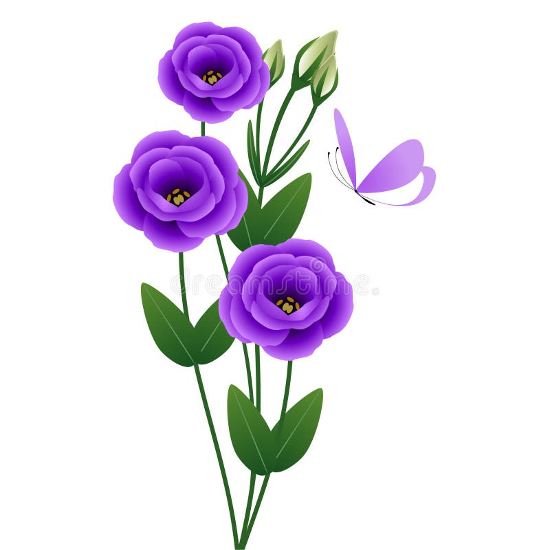 Bouquet mit Eustoma-Blumen mit einem Schmetterling auf weißem Hintergrund. vektor abbildung