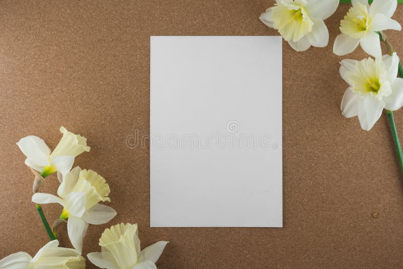Bouquet of narcissus. Spring flowers. Cork background stock image Bouquet of narcissus. Spring flowers. Cork background stock image