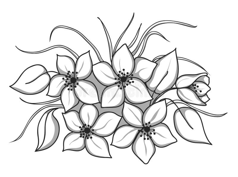 Bouquet De Fleurs Dessin Noir Et Blanc Bouquet Noir Et Blanc Des Fleurs Avec Les Feuilles Et L'herbe