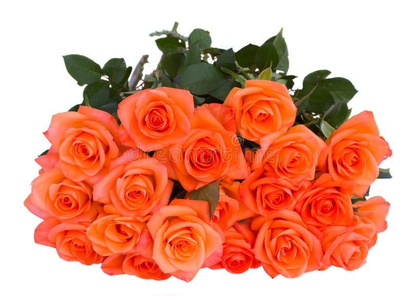 21,124 Bouquet Orange Roses Photos Free & RoyaltyFree Stock Photos
