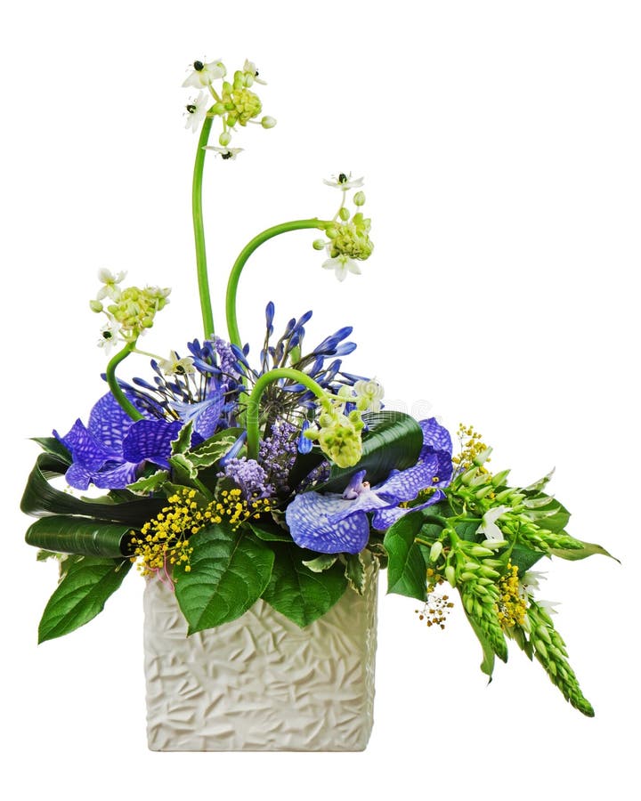 Bouquet from orchids and Arabian Star flower (Ornithogalum arabicum) in vase isolated on white background. royalty free stock photo Bouquet from orchids and Arabian Star flower (Ornithogalum arabicum) in vase isolated on white background. royalty free stock photo