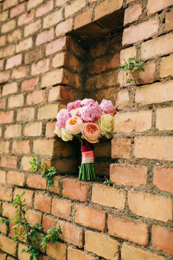 Bouquet of peonies on the background of the stone wall of red br. Green, nature.