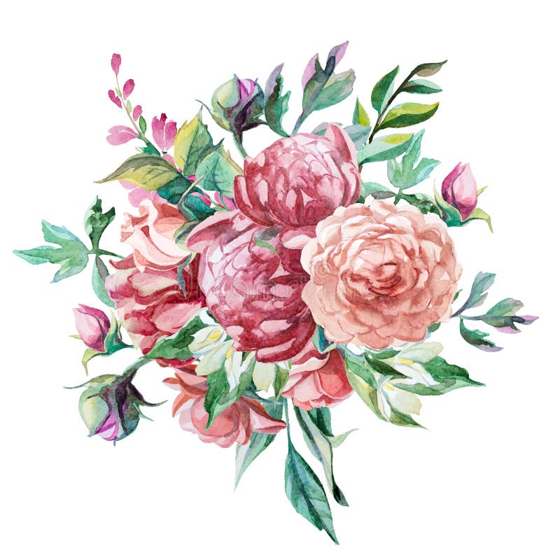 Bouquet of peonies isolate on white background