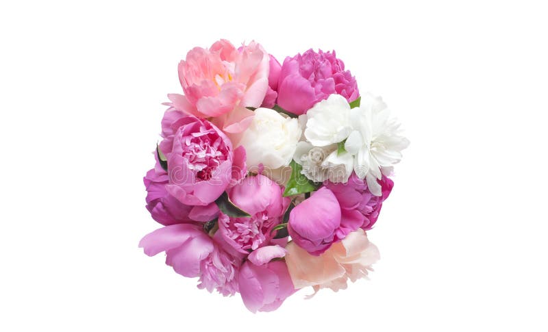 Bouquet peony flowers pink and red color isolated on white background.