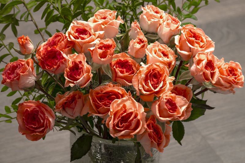 Bouquet of pink miniature roses stock photo