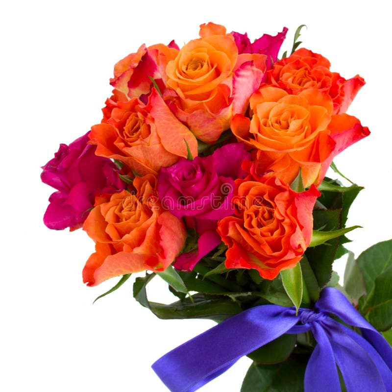 Orange and Pink Roses Border Stock Photo Image of color, orange 29893078