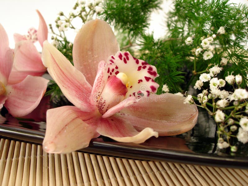 Bouquet of pink orchids and white flowers on plate