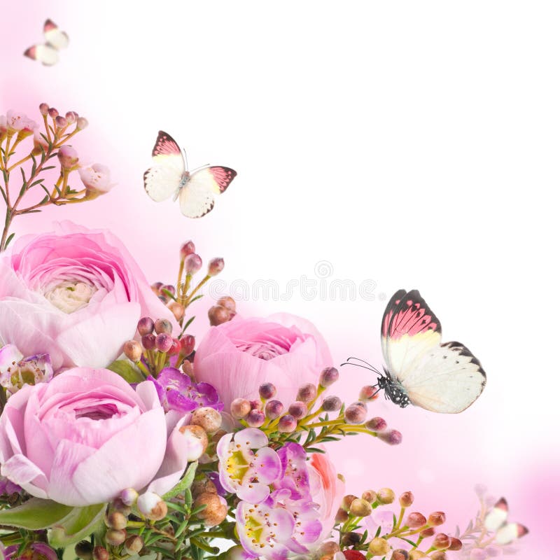 Bouquet from Pink Roses and Butterfly Stock Image Image of petal