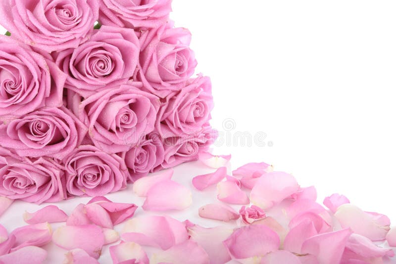 Bouquet of pink roses over white