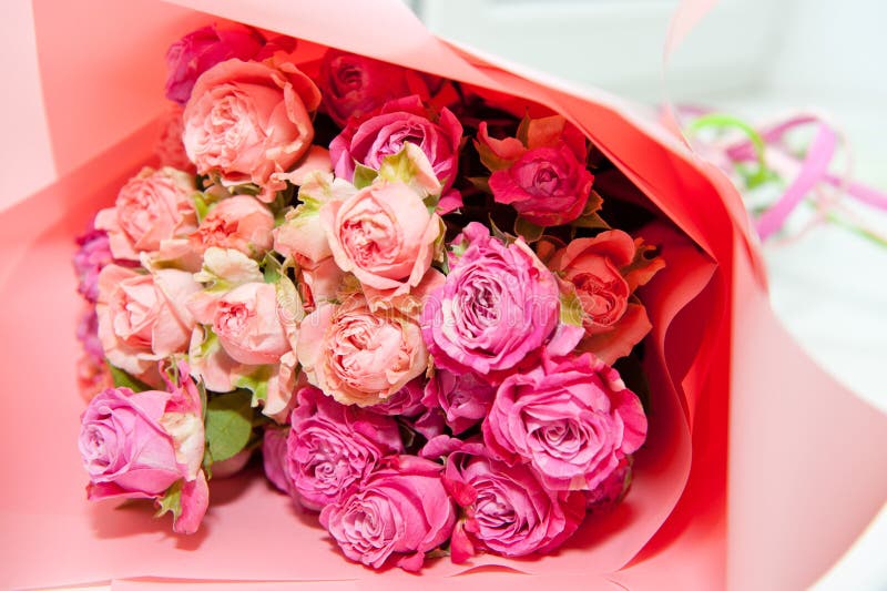 Bouquet of pink roses packaged in pink paper, closeup shot royalty free stock image Bouquet of pink roses packaged in pink paper, closeup shot royalty free stock image