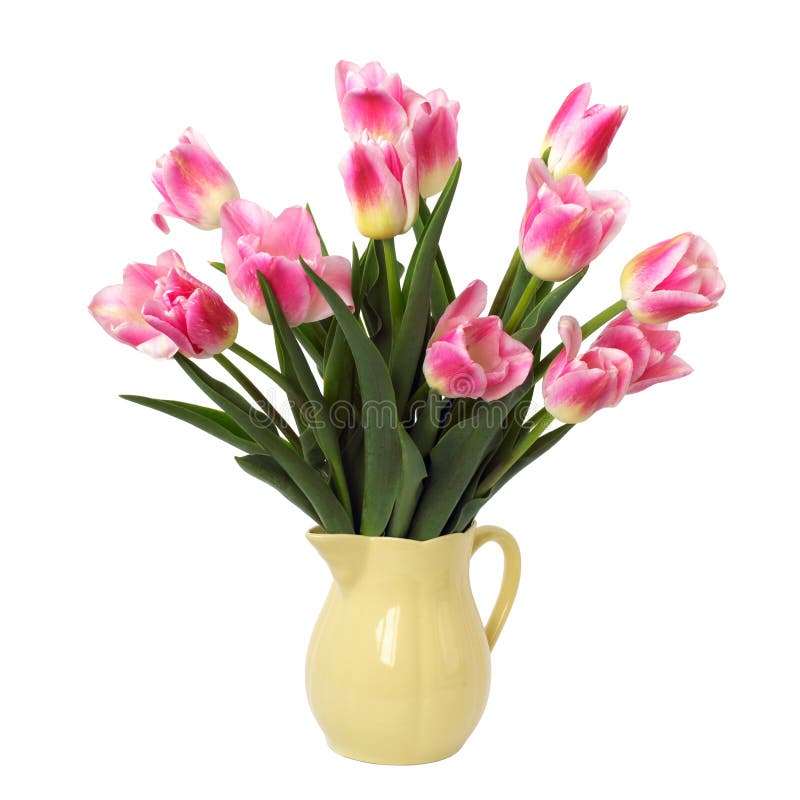 Bouquet of pink tulips