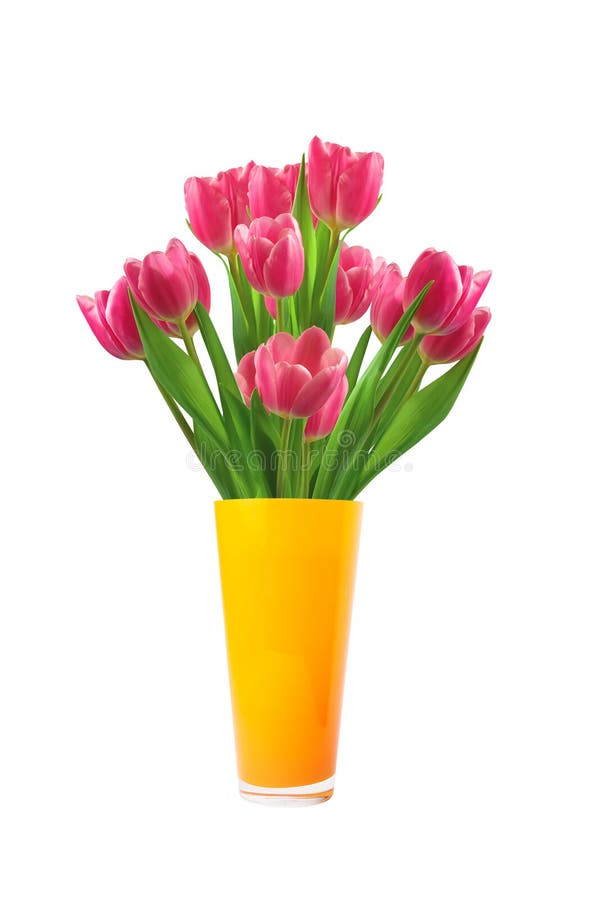 Bouquet of pink tulips in vase isolated on white