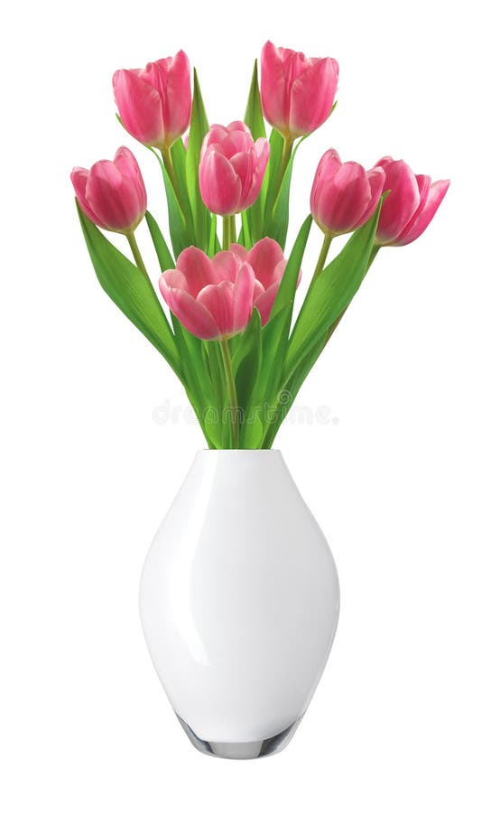 Bouquet of pink tulips in vase isolated on white