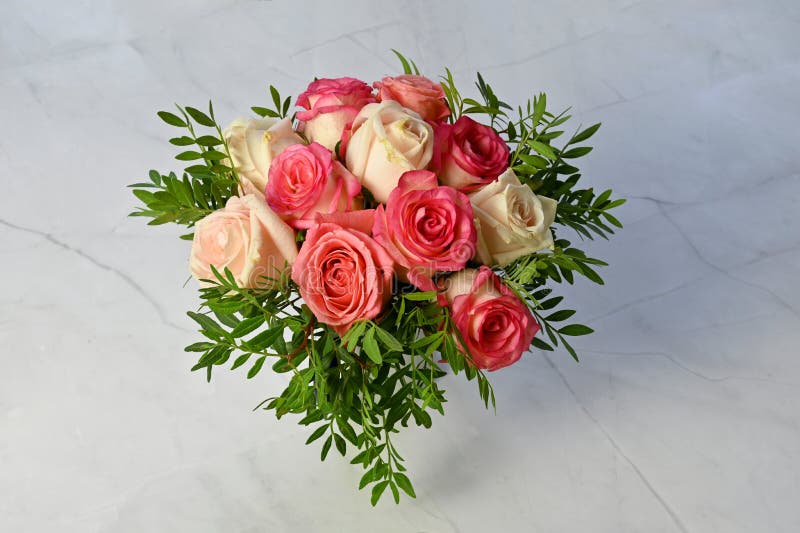 Bouquet of Pink and White Roses Stock Photo Image of flora, beauty