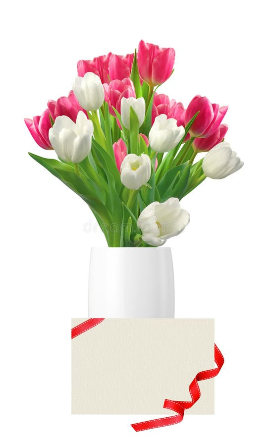 Bouquet of pink and white tulips in vase and card isolated