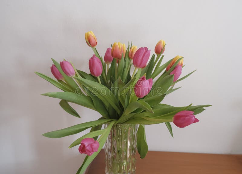 Bouquet of pink and yellow tulips in vase closeup across white all on the wooden drawer. Interior detail. Hotel interior