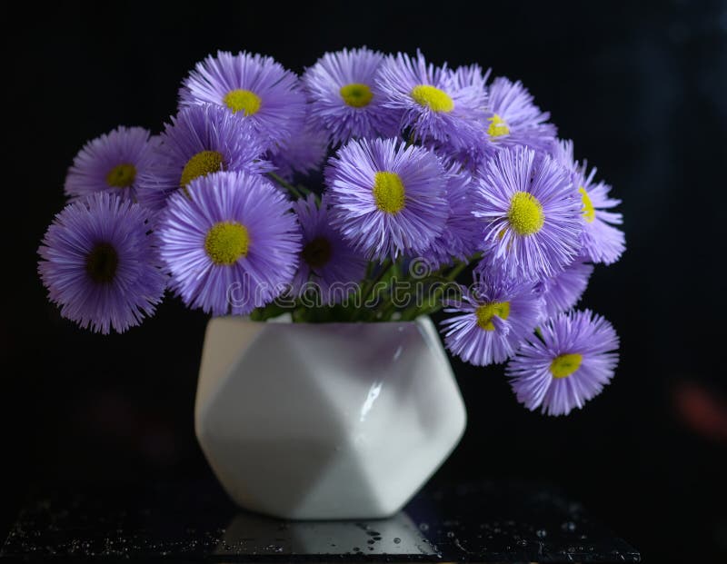 Bouquet of Purple Daisies in a White Vase Stock Photo Image of bouquet, calendula 255733736