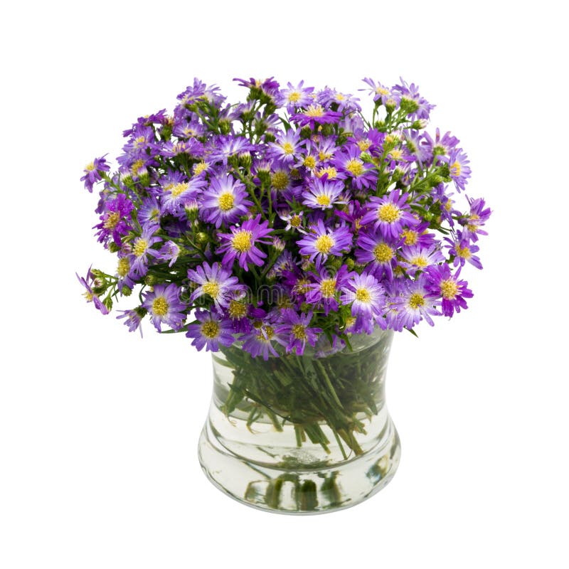 Bouquet Purple Daisy in Vase Stock Image Image of floral, colorful 53998819