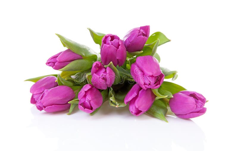 Bouquet Of Purple Dutch Tulips Stock Image Image of tulips, stacked