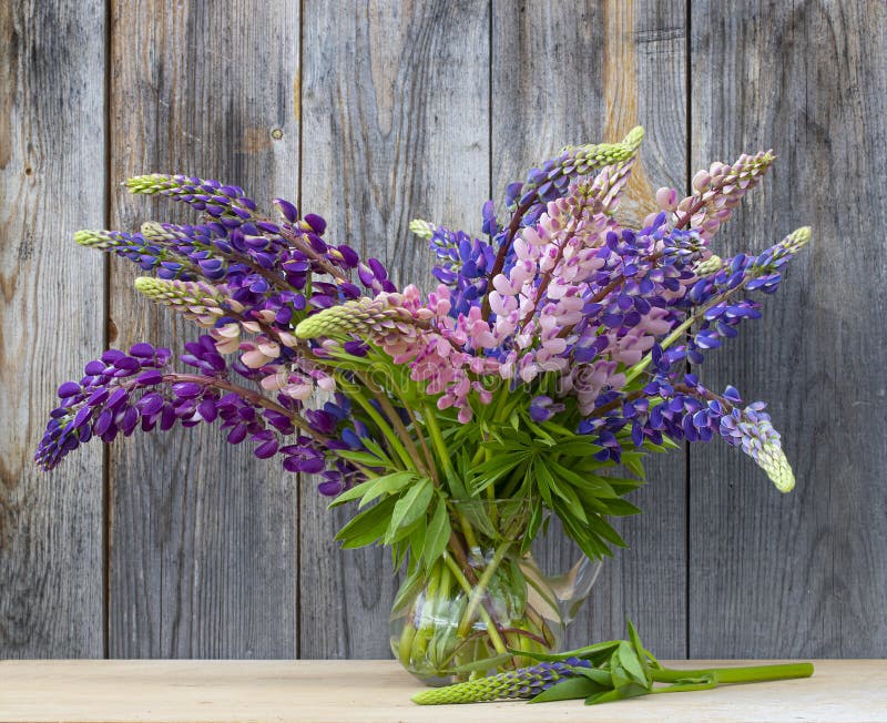 Bouquet of purple lupine flowers in a glass vase table outdoors. Still life with flowers. Lupins. Greeting card for the holiday. Bouquet of purple lupine