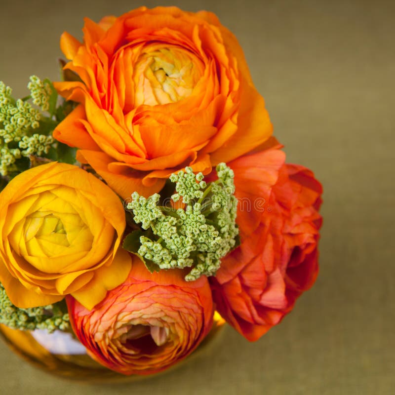 Bouquet of Ranunculus Flower Stock Image Image of plant, spring 31293209