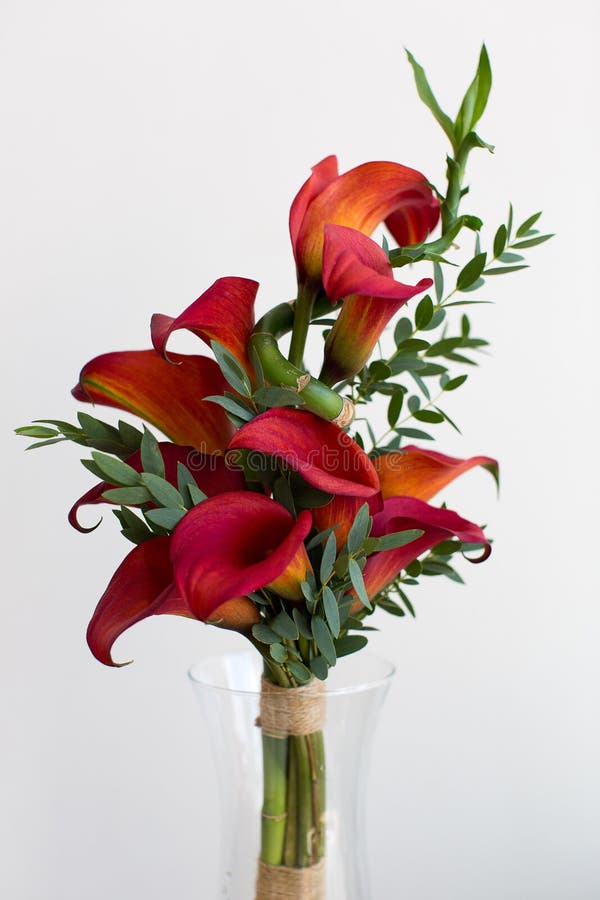 Bouquet of Red Calla Lilies Stock Photo Image of fresh, blossom 58394540