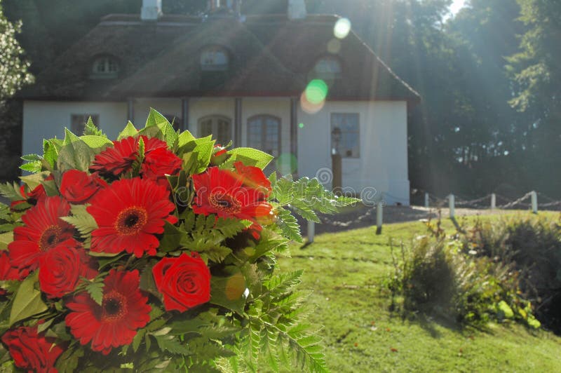 Bouquet of red flowers