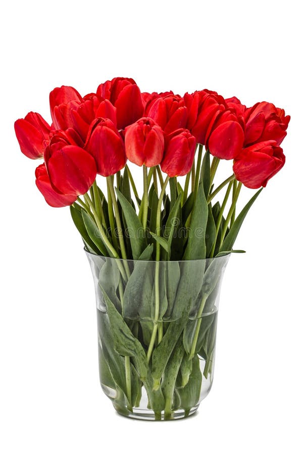 5,280 White Tulips Vase Arrangement Stock Photos Free & RoyaltyFree
