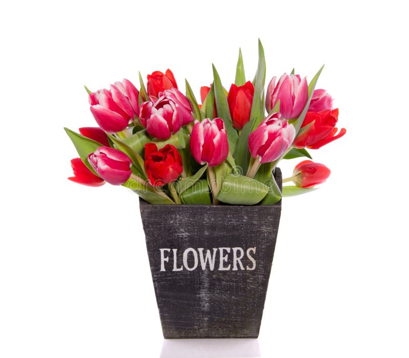 Bouquet red and pink tulips