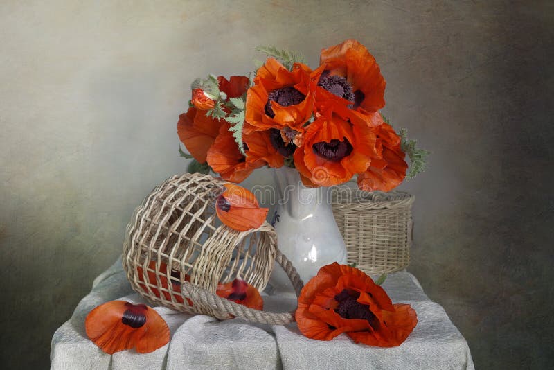 Poppies in Vase with Copy Space Stock Photo Image of greeting