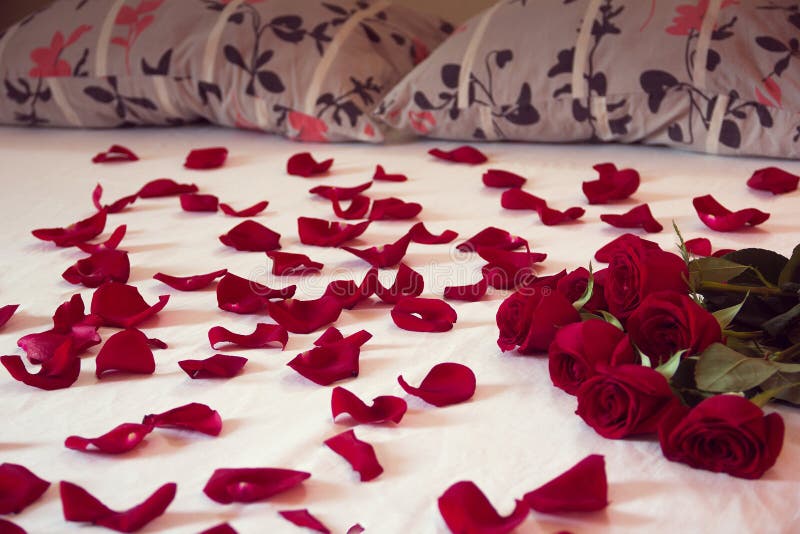 Bouquet from Red Roses and His Scattered Petals on a Bed Stock Image