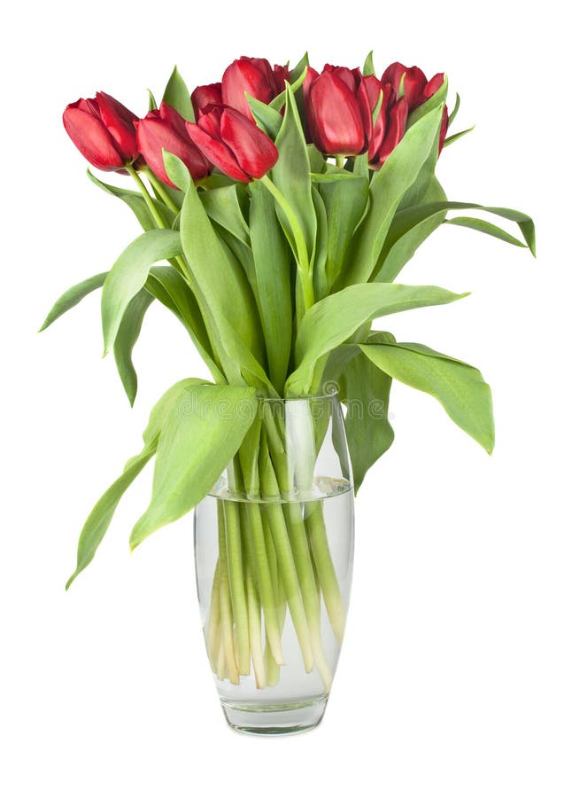 Bouquet of red tulips in a glass vase