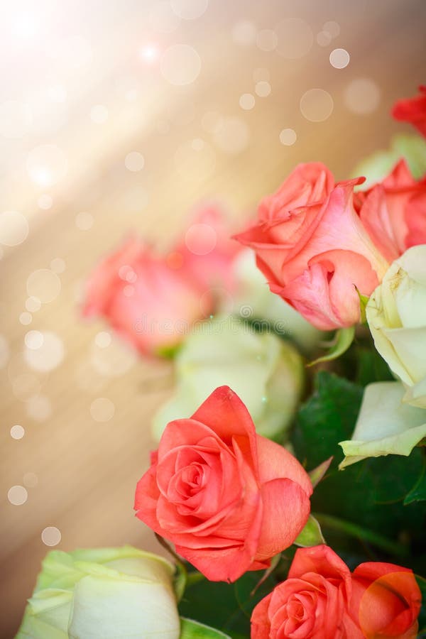Bouquet of Red and Yellow Roses Stock Image Image of love, mother