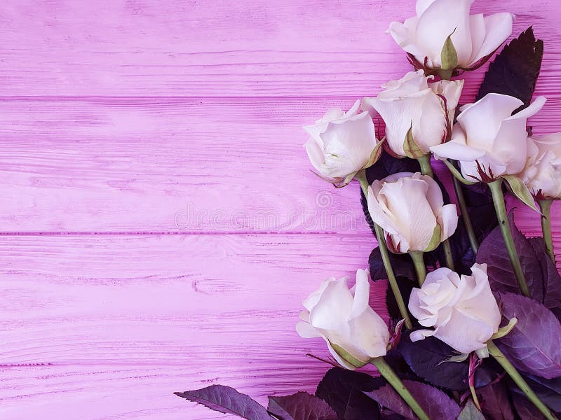 Bouquet rose blanc sur le fond en bois rose images libres de droits Bouquet rose blanc sur le fond en bois rose images libres de droits