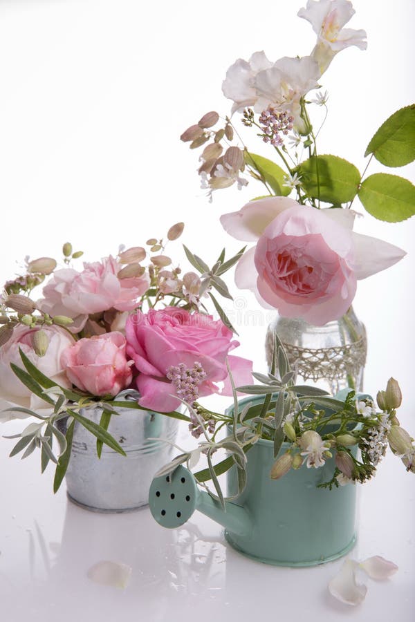 Bouquet Rose De Fleur Du Bel Anglais Sur Le Fond Blanc Photo stock - Image du rose, fleur: 101135160