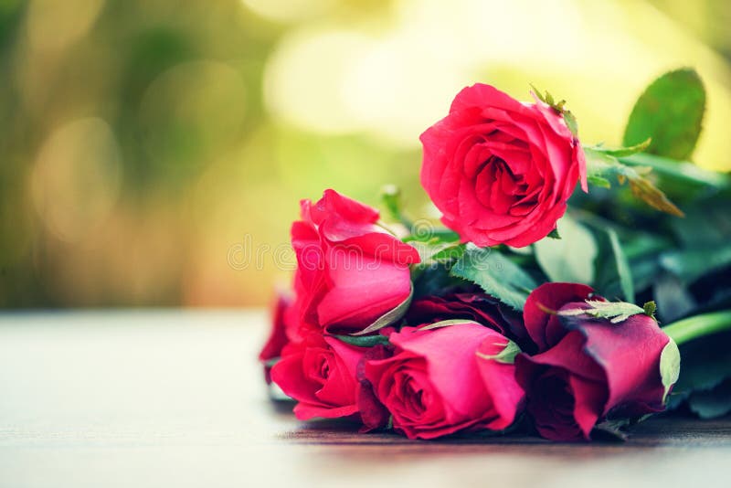 Bouquet rose rouge de fleur/rose et amour de jour de valentines de roses rouges sur la nature en bois de table photos stock Bouquet rose rouge de fleur/rose et amour de jour de valentines de roses rouges sur la nature en bois de table photos stock