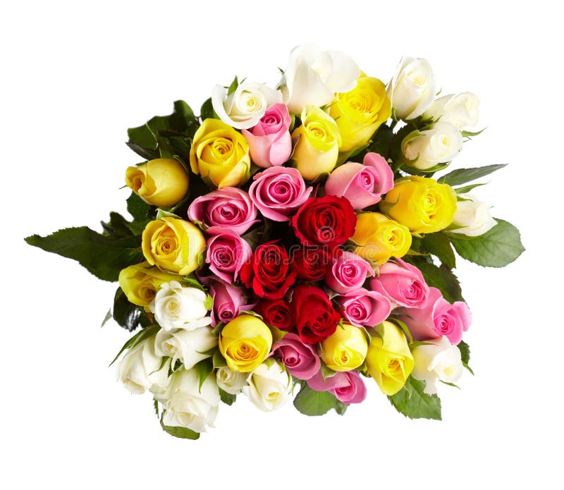 Bouquet of roses stock photo. Image of aromatherapy, bridal 17013190