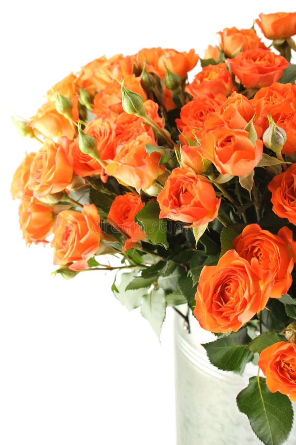 Bouquet of roses stock image. Image of love, bunch, aluminum 23027211