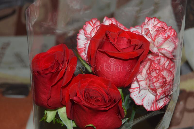 Bouquet of Roses and Carnations Stock Image Image of bloom