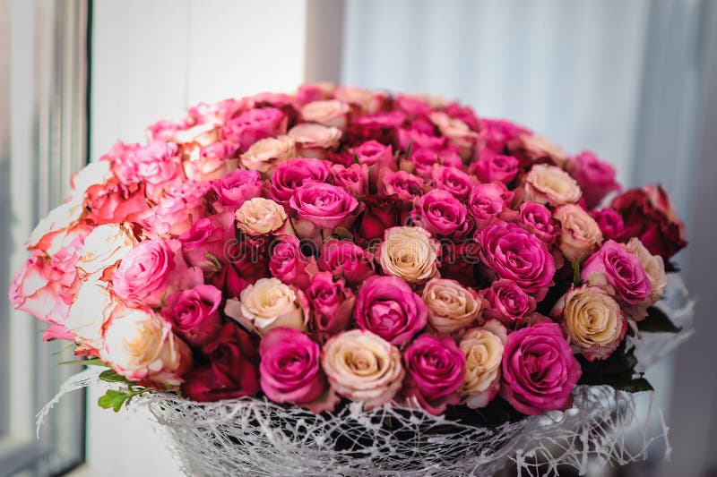 Panorama: Kot i Klever, flowers and bouquets delivery, Rostov-on-Don, Korolyova