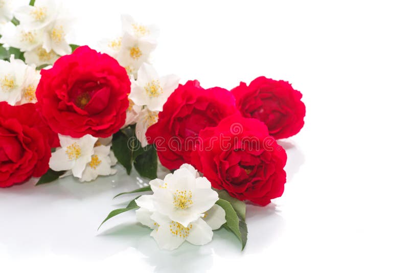 Bouquet of Roses and Jasmine Stock Photo Image of fragility, flower