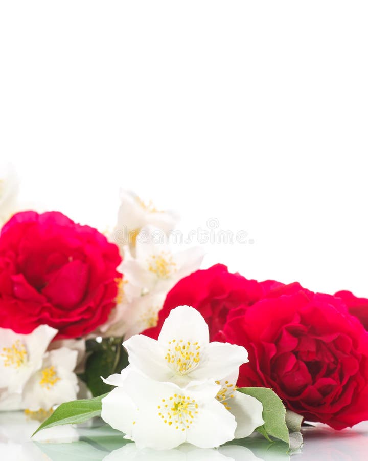 Bouquet of Roses and Jasmine Stock Photo Image of beauty, beautiful