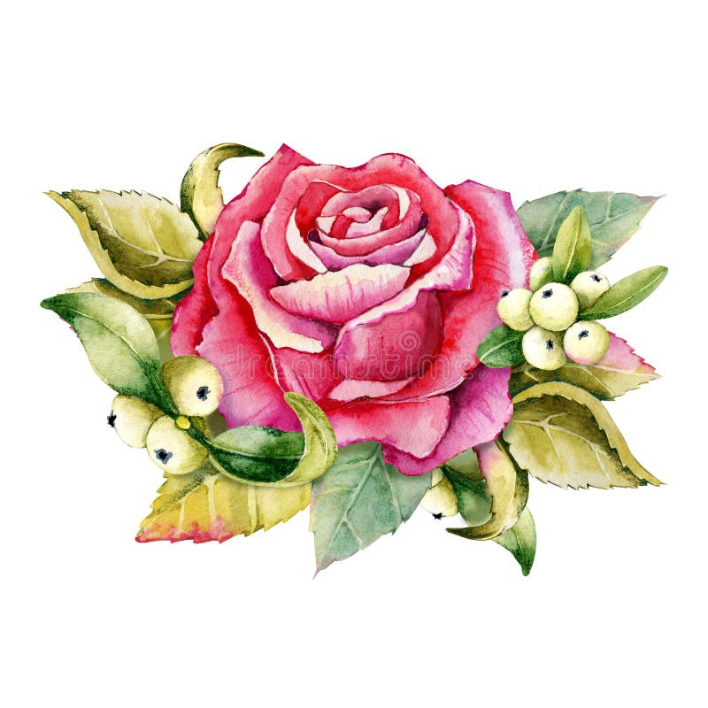 A bouquet of roses and mistletoe branches. Hand watercolor illustration isolated on white background. Design for wedding