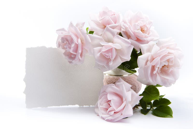 Bouquet of roses for romantic greeting cards royalty free stock photo Bouquet of roses for romantic greeting cards royalty free stock photo
