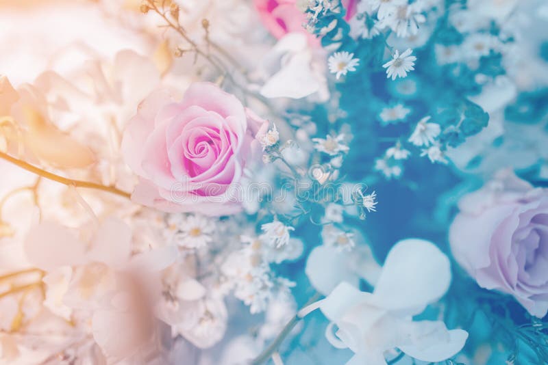 Bouquet roses soft blur background beautiful flowers vintage pastel tones  And space to put text