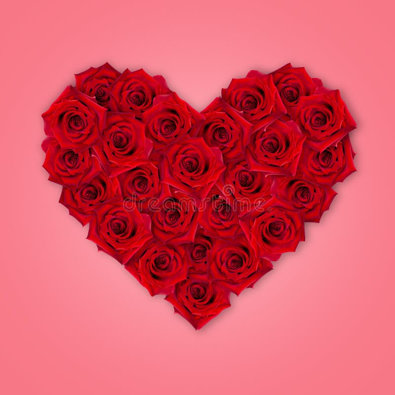 529 Red Rose 3d Stock Photos - Free & Royalty-Free Stock Photos from  Dreamstime