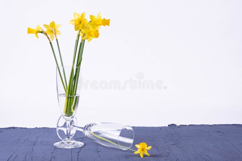 Bouquet of Spring Daffodils Stand in a Vase on a Table Stock Image