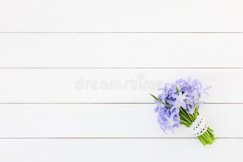 Bouquet of spring flowers decorated with lace on white wooden background, copy space. Chionodoxa flowers. stock images Bouquet of spring flowers decorated with lace on white wooden background, copy space. Chionodoxa flowers. stock images