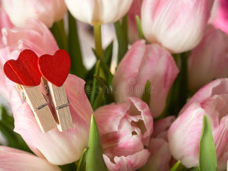 Bouquet of spring flowers, pink tulips on blurred background close up - holiday card for 8 march, weeding, Valentine day or mother`s day, decorated with two red hearts. Bouquet of spring flowers, pink tulips on blurred background close up - holiday card for 8 march, weeding, Valentine day or mother`s day, decorated with two red hearts