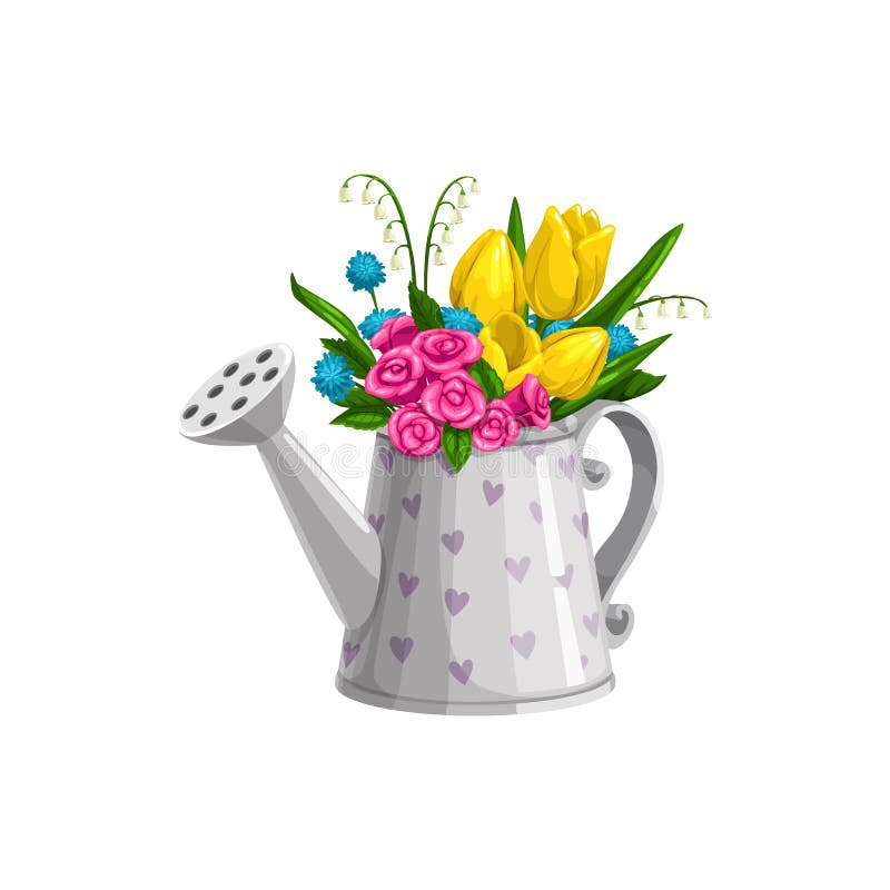 Watering Can With Bouquet Of Tulips Stock Vector - Illustration of ...
